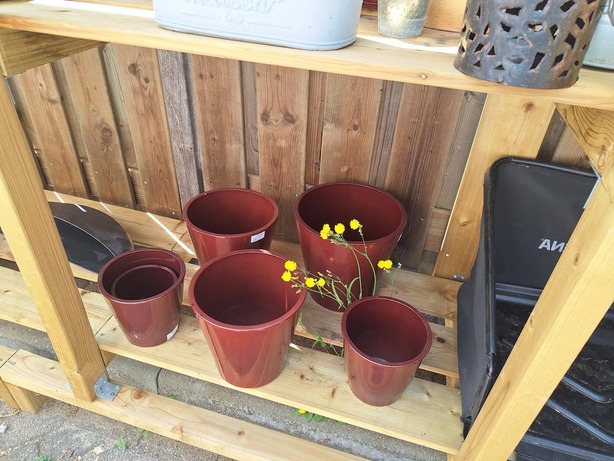 bloempotten